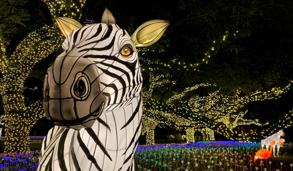A zebra lantern is lit up with trees and christmas lights behind it