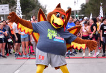 Give thanks for things to do on Thanksgiving Day & Night around Houston