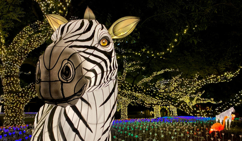 A light-up zebra is in the foreground; with light-covered trees in the background