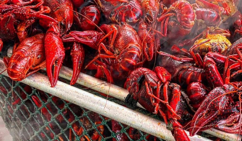 A steaming net of fresh, bright red crawfish and corn