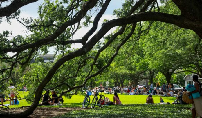 Parking, road closure, food trucks: What to know for Gardner's parade