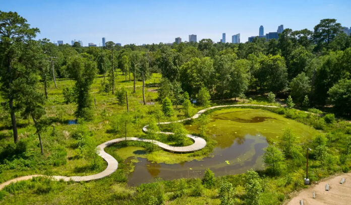 A winding boardwalk through marshy areas, with a Downtown skyline in the distance