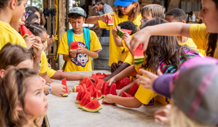 Children in summer camp t-shirts grab and eat watermelon slices