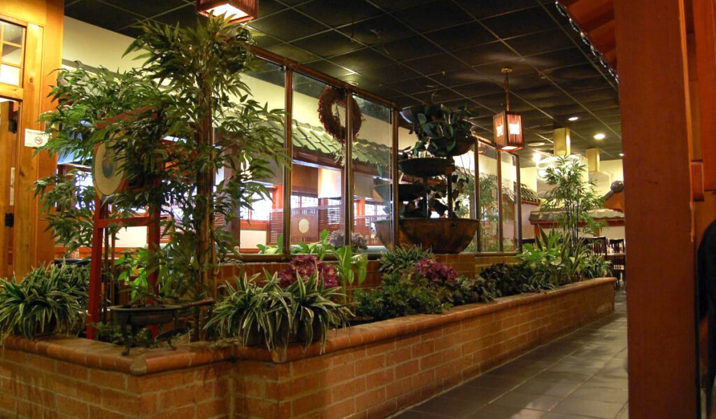 레스토랑 중앙에 있는 식물의 잎사귀 스크린