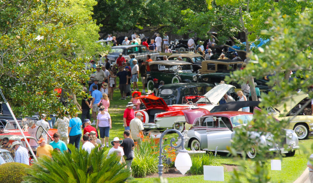 A view down a leafy green space with people strolling by classic automobiles