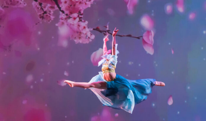 A dancer leaps before a background of cherry blossoms