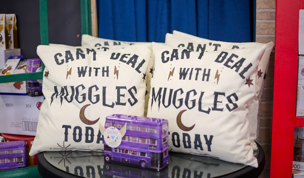 Display pillows in a shop that read "Can't Deal with Muggles Today"