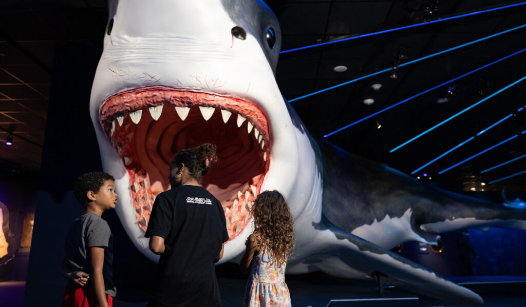 A family standing before a giant replica of the Megalodon
