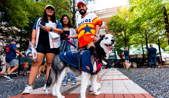 Pets First MLB Houston Astros Pet Jersey