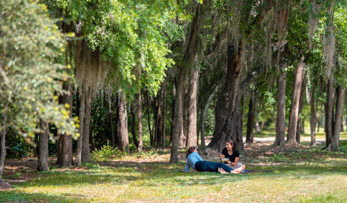 Two people recline on a picnic under the shade of trees