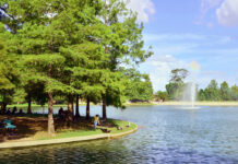 5 Must Do Things in Hermann Park A girl feeds ducks on the edge of a lake