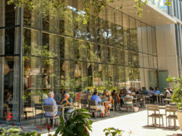 The outdoor patio at Eunice, shaded by green plants and trees