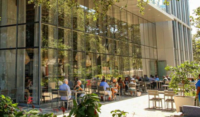 The outdoor patio at Eunice, shaded by green plants and trees