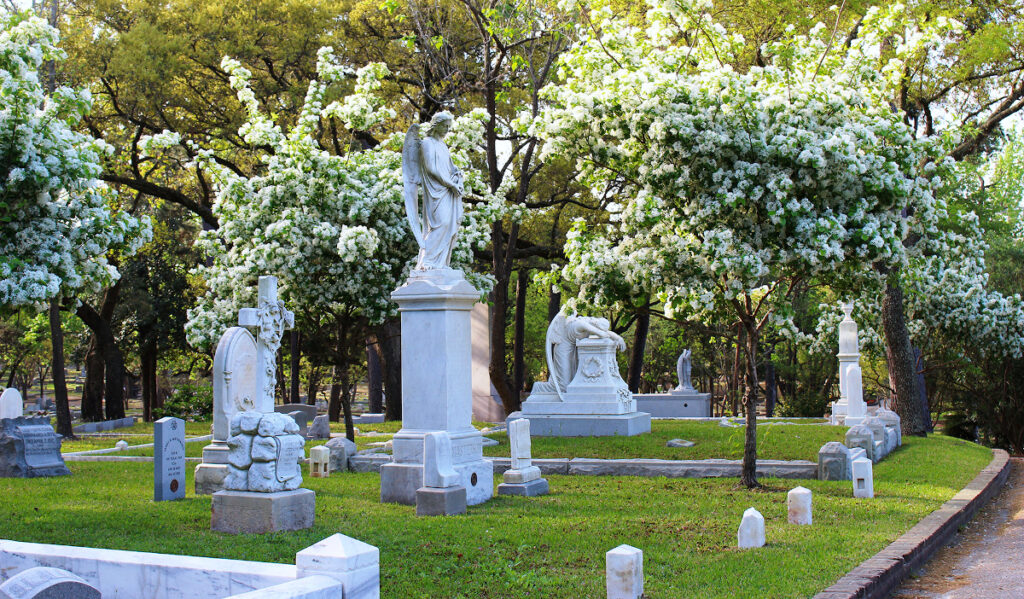 Tombstones with sculptures of Angels in front of blooming trees