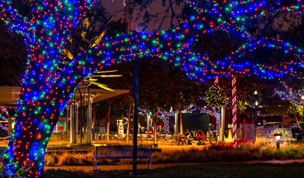 A tree with multicolored lights in front of an empty bench and other lit trees in the distance