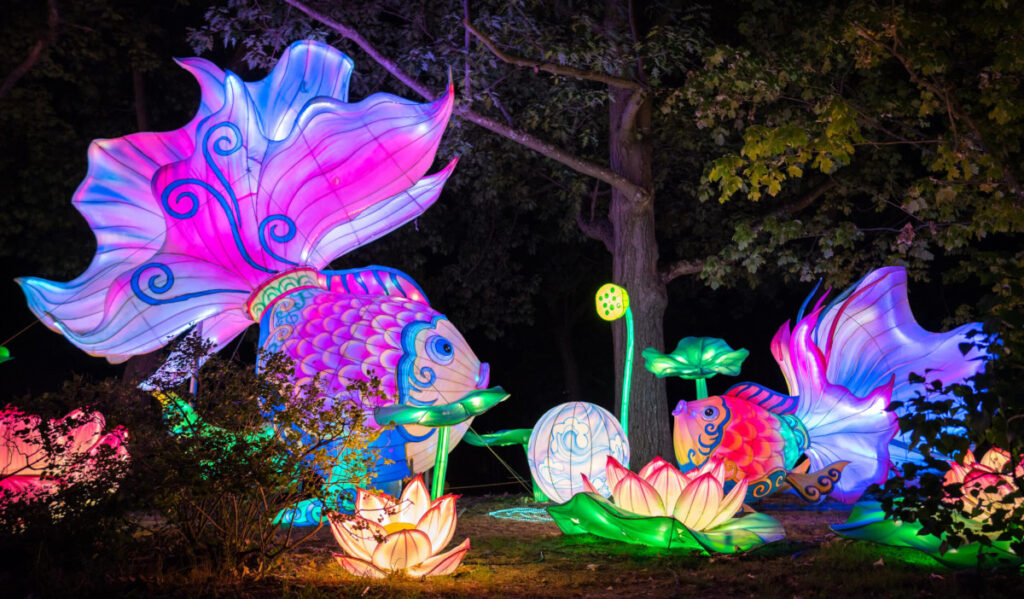 Light lanterns featuring fish, lotus flowers and other sculptures near a tree