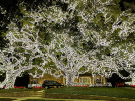 A tree in front of a home is strung with millions of lights