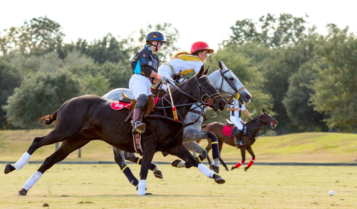 Two polo players on horseback chase after a bll