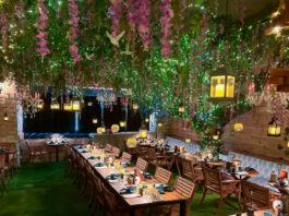 A dining room with hanging green and pink plants