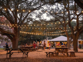 Rows of tables between trees under string lights