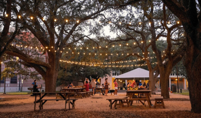 Rows of tables between trees under string lights