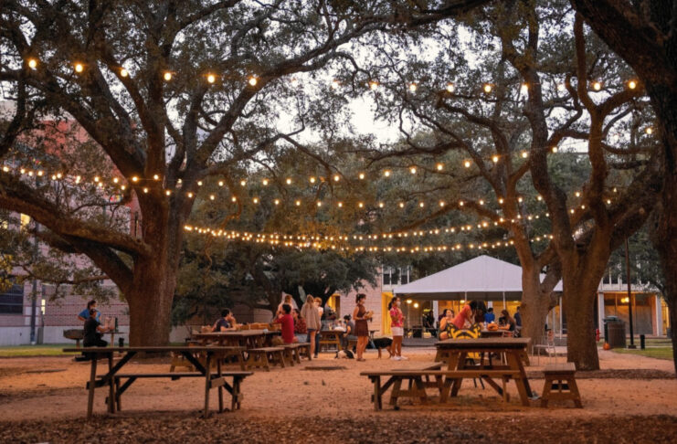 Rows of tables between trees under string lights