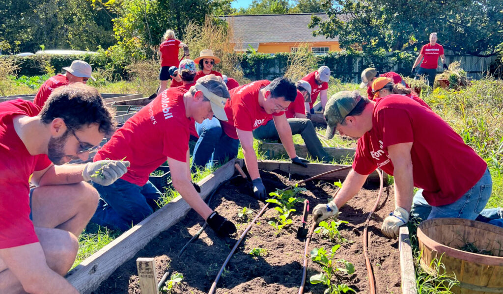 Four volunteers tending to a garden bed while kneeling