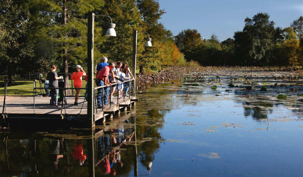 People on a pier overlooking a body of water surrounded by trees