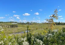 5 Must Do Things in Washington Corridor & Memorial Park A view of the Memorial Park prairie with an observation deck, tunnels and fall foliage