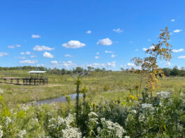 A view of the Memorial Park prairie with an observation deck, tunnels and fall foliage