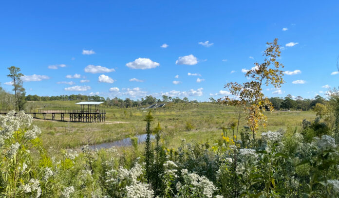 A view of the Memorial Park prairie with an observation deck, tunnels and fall foliage