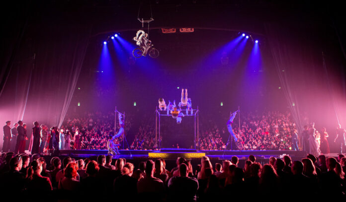 A view through a crowd of cirque performers on stage