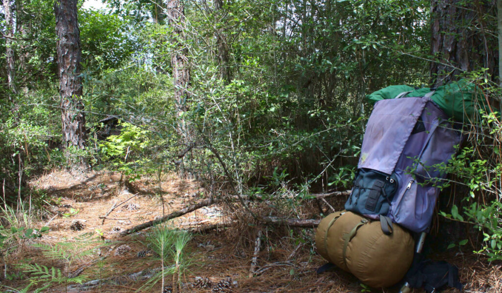 A hiking backpack propped against a tree in a wooded area