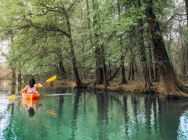 A person kayaking near a tree line in blue waters