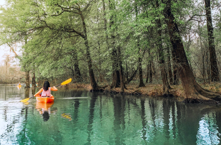 A person kayaking near a tree line in blue waters