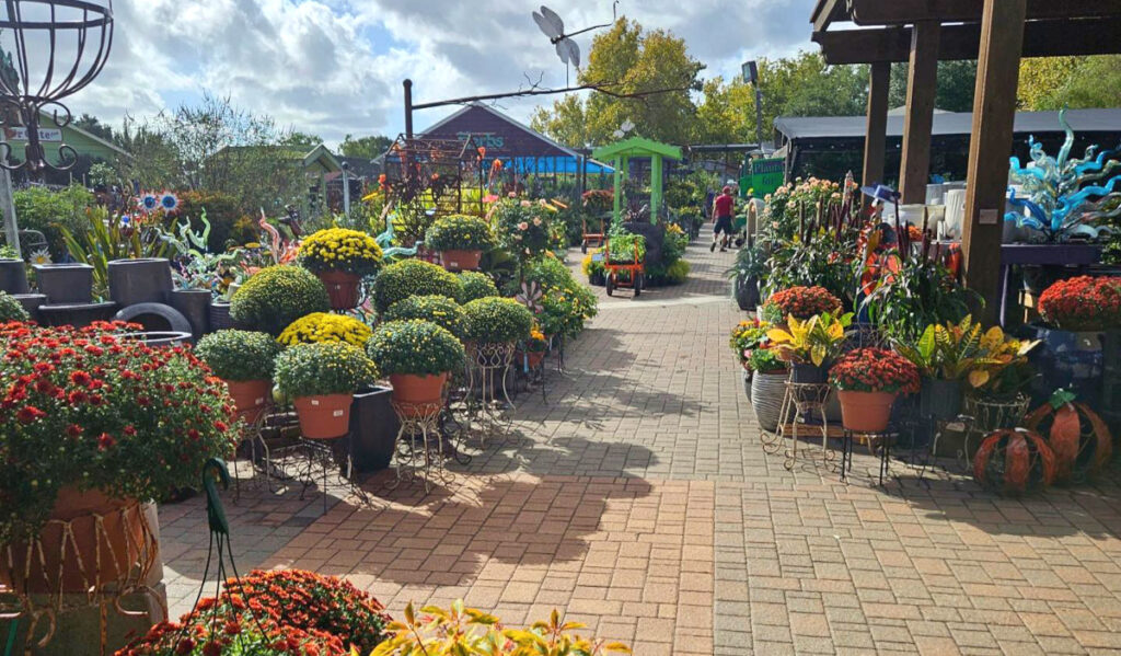 Colorful plants alongside walking paths at a plant nursery