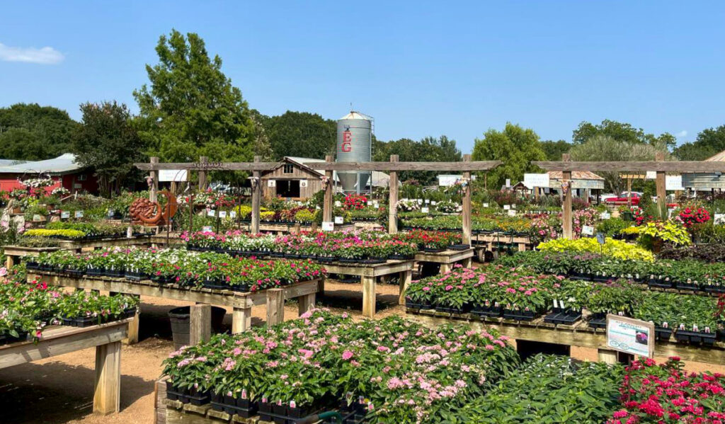 Tables of flowering plants with a silo in the back that reads "EG"