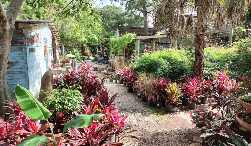 A walking path flanked by red plants and shrubs