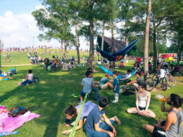 Groups of people relax under shaded trees while others fly kites in the distance