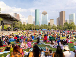 A crowd of people on blankets and chairs with the Downtown Houston skyline