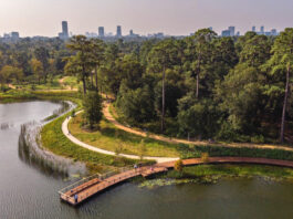 An aerial view of walking paths and a lake platform at Eastern Glades in Memorial Park