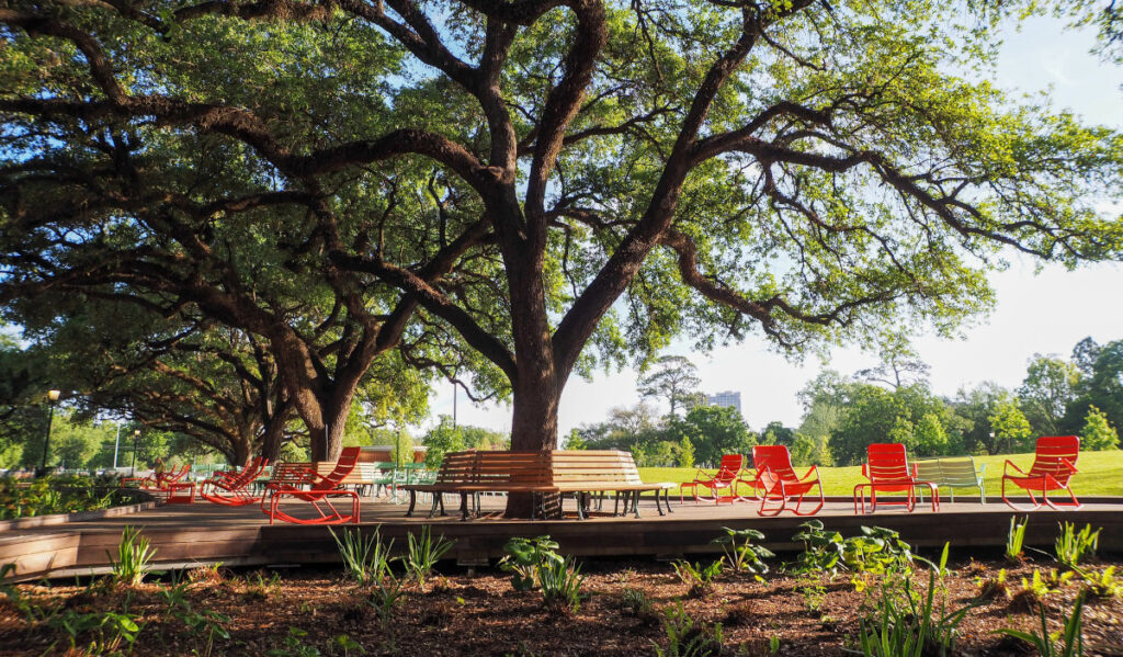 Orange seating and benches under a tall canopy of live oak trees