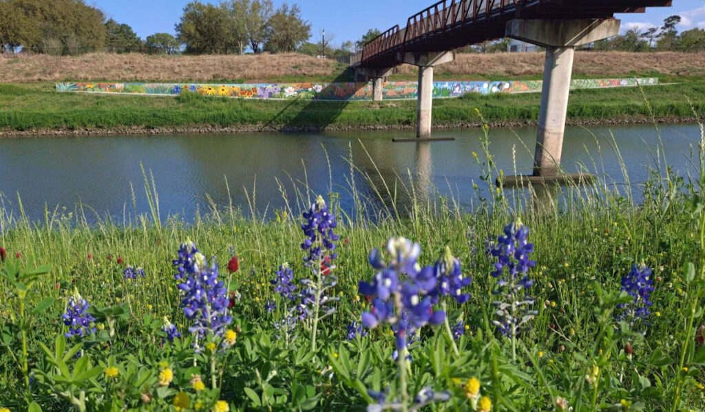 Bluebonnets and wildflowers on the side of a bayou with a bridge overhead and a mural on the other bank