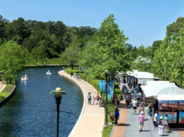 People strolling by vendor booths on the shore of a waterway, with people pedaling swan boats