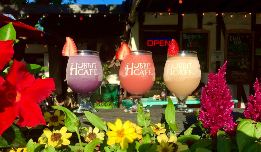 Three frozen drinks on a ledge, surrounded by flowers