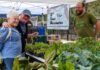 Get to know your food every Sunday morning at Galveston’s Own Farmers Market