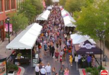 Plan Your Weekend: October 17 to 20, 2024