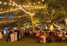 Plan Your Halloween Weekend: October 24 to 27, 2024