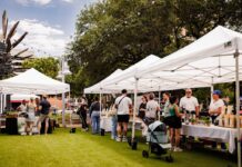 Plan Your Weekend: October 31 to November 3, 2024