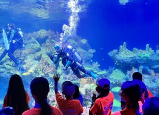 The Ultimate Summer Kids Camp Guide 2026 for Greater Houston